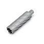 Fraise HSS NOVA 100 Weldon 3/4" - Ø45x100mm Référence 63134450054 Fein Fraise HSS NOVA 100 Weldon 3/4" - Ø45x100mm Référence 63134450054 Fein