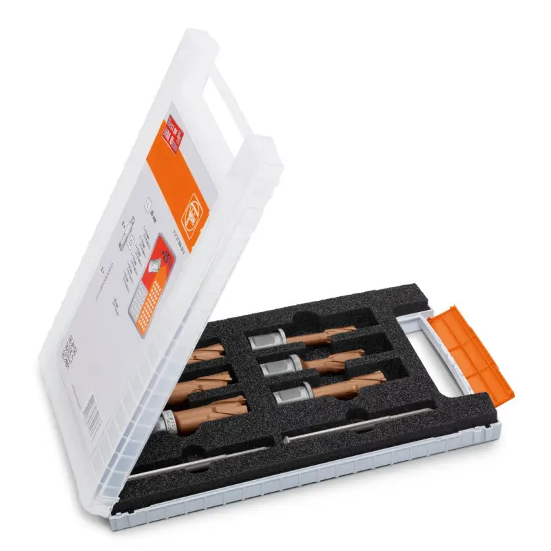 Set d’accessoires Best of Fraises HM carbure Ultra Speed 35 Weldon 3/4" Référence 63127838110 Fein Set d’accessoires Best of Fraises HM carbure Ultra Speed 35 Weldon 3/4" Référence 63127838110 Fein