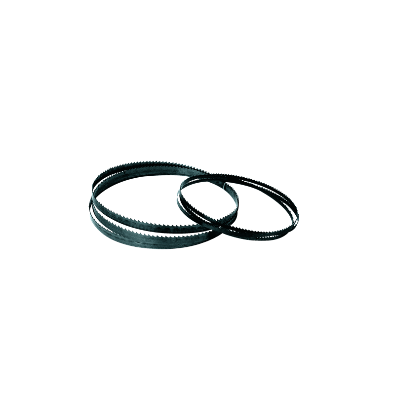Ruban Flexback Bois 2930X6X0,5 6 Tpi ref 130.21026 Leman