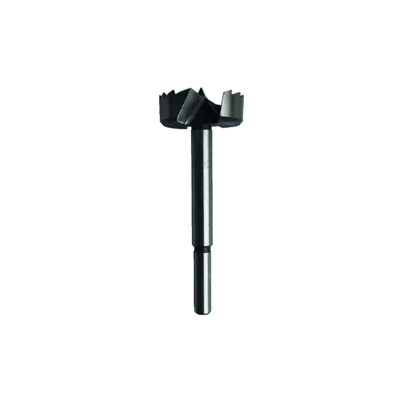 Meche A Faconner Acier D125Xlt.160 Q12,5X50 Droite Type Forstner Coupe Périphérique Fractionnée ref 102.5125.00 Leman