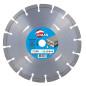 Disque Diamant Segments Beton Arme 125X22.23 ref 770125 Leman