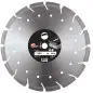 Disque Diam Segments Mixte 350X20 Ht10 Asphalte/Béton Armé ref 310351 Leman