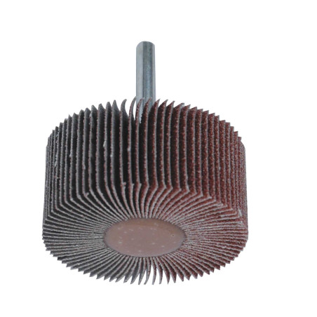 Roue A Lamelles Corindon 30X15 Gr 80 Tige 6 ref 9931580 Leman