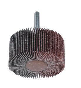 Roue A Lamelles Corindon 30X15 Gr 80 Tige 6 ref 9931580 Leman