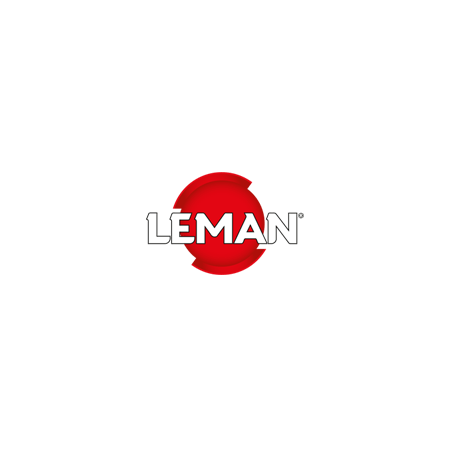 Vis Fendue M5X6/9 Tete Fraisee ref 950.81.520.201 Leman