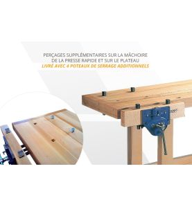 Option 'Multi Fonction' - Uniquement commandable avec Etablis MER/MERS/EMR/ESC