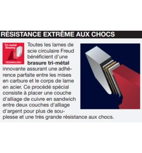 Lame pour scie circulaire portative D250 2,8/1,8 AL30 Z60 BA 10°