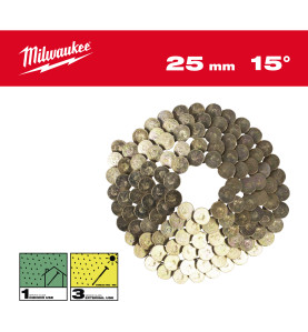 Boîte 2160 Clous Rouleau 15°Rh 3,05X25 Mm/Ss/G (X1) 4932499317 Milwaukee