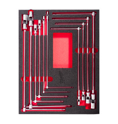 Module Clé En T Avec Douille Pivotante 10 Pcs 4932499295 Milwaukee