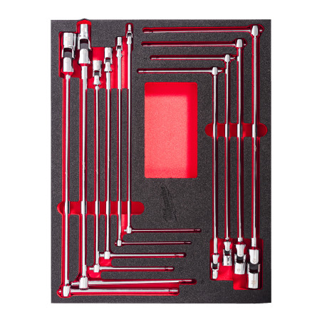 Module Clé En T Avec Douille Pivotante 10 Pcs 4932499295 Milwaukee