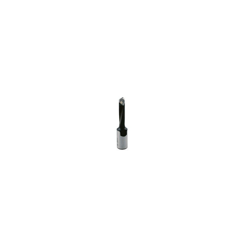 Meche Assemblage Domino D5/Fil.M6X0,75 Lt49 Droite Hm ref 271.705.00 Leman