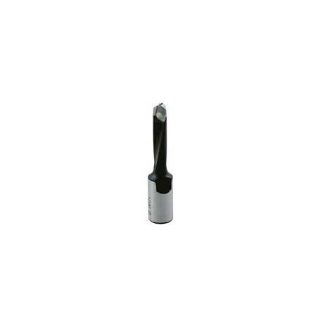 Meche Assemblage Domino D5/Fil.M6X0,75 Lt49 Droite Hm ref 271.705.00 Leman