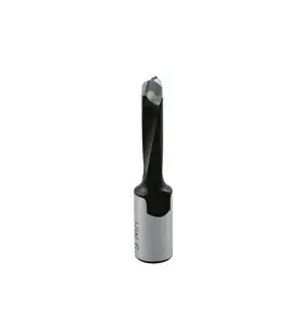 Vente de Mèche assemblage HM Domino D.5 / Fil.M6x0,75 LT.49 rot. Droite Leman, numéro 14272 / mn_271.705.00 à 30,41 €HT soit 36