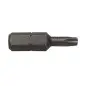 2 Embouts De Vissage Torx T10 / 25Mm ref 51505.02 Leman