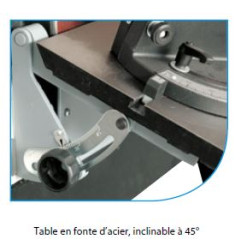Combine Ponceur En 250Mm Pon250 ref PON250 Leman