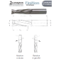 Meche Hm Massif D20X102X160 Z2 Finition Droite Pos ref 7020.2010.00 Leman