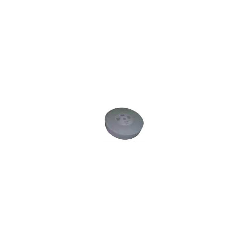 Meule Corindon D250Mm Gr 220 Pour Aff251 ref 350000.042 Leman