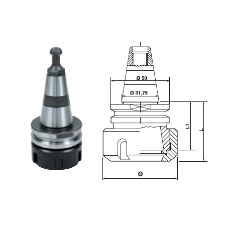 CONE ISO30 BIESSE PORTE PINCE GR.25