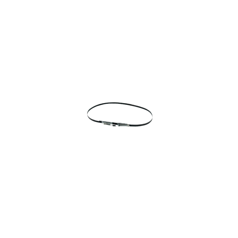 Sangle A Feuillard D500Mm Asp152(T)/302(T) Et Asp150(T)/Asp300(T) ref 090104 Leman