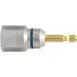 Douille tige filt 6mm i-gold
