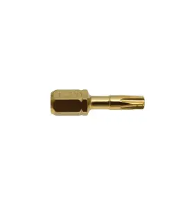 Vente de Embout torx30-25mm 2pcs acc.makita, numéro 22556 / makita-accessoires_B-28438 à 3,68 €HT soit 4,41 €TTC. 