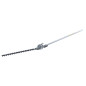 Tete taillehaie perche d0lmar