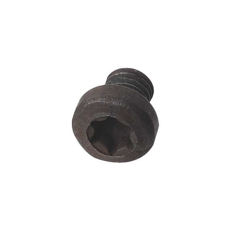 990 - Vis - TORX TYPE : 11 TBPTI - d : M4 - l : 4 - L : 6.2 - D : 9