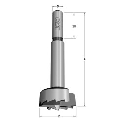 Mèche à façonner à queue cylindrique Forstner D45 L90 S10x30