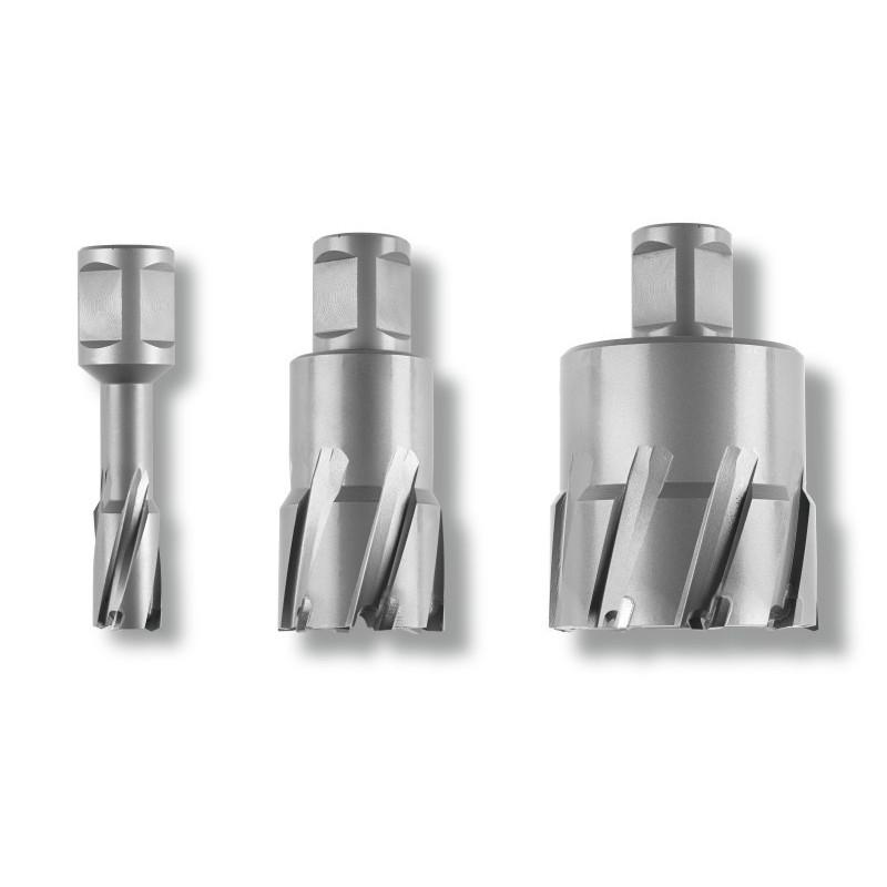 Fraise carbure Ultra 35 Weldon 3/4" - Ø12x35mm Référence 63127714010 Fein Fraise carbure Ultra 35 Weldon 3/4" - Ø12x35mm Référence 63127714010 Fein