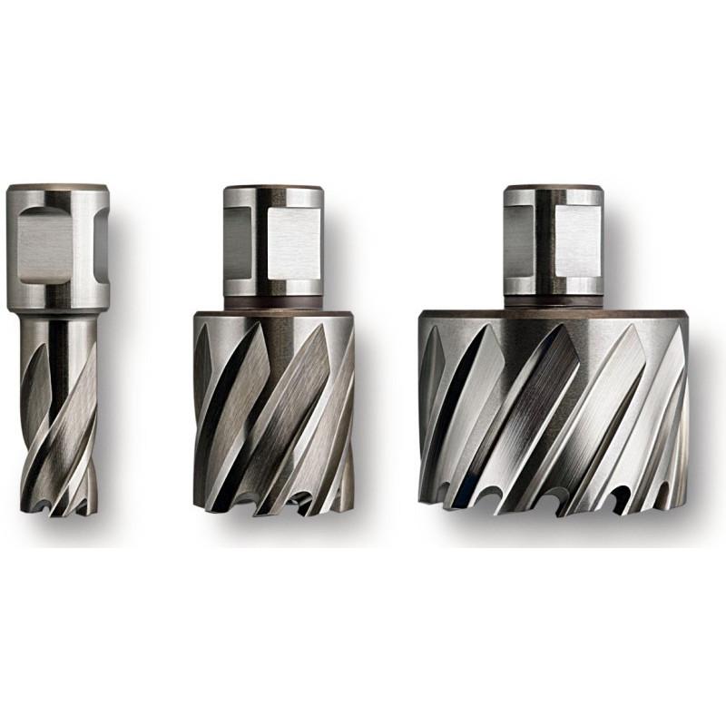 Fraise HSS Nova 25 Weldon 3/4" - Ø31x25mm Référence 63134310051 Fein Fraise HSS Nova 25 Weldon 3/4" - Ø31x25mm Référence 63134310051 Fein