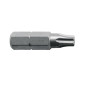 EMBOUT DE VISSAGE 25MM TX15 (X25) EMBOUT DE VISSAGE 25MM TX15 (X25)