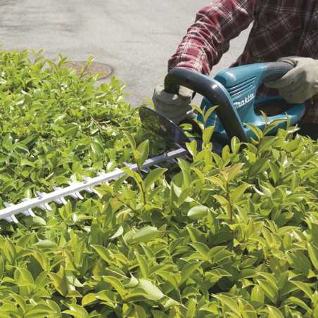 Taille-haie Semi-Pro 550 W 55 cm MAKITA UH5570