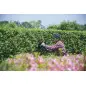 Taille-haie Pro 670 W 75 cm MAKITA UH7580