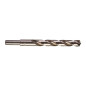 FORET MÉTAUX HSSG THUNDERWEB 13X101MM (X5) FORET MÉTAUX HSSG THUNDERWEB 13X101MM (X5)