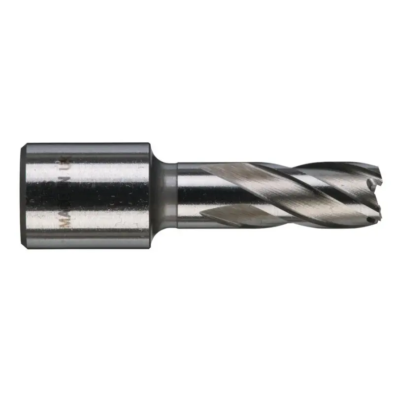 TRÉPAN HSS POUR PERCEUSE À EMBASE MAGNÉTIQUE 12X30MM (X1) TRÉPAN HSS POUR PERCEUSE À EMBASE MAGNÉTIQUE 12X30MM (X1)