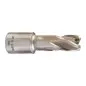 TRÉPAN HSS POUR PERCEUSE À EMBASE MAGNÉTIQUE 14X30MM (X1) TRÉPAN HSS POUR PERCEUSE À EMBASE MAGNÉTIQUE 14X30MM (X1)