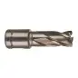 TRÉPAN HSS POUR PERCEUSE À EMBASE MAGNÉTIQUE 15X30MM (X1) TRÉPAN HSS POUR PERCEUSE À EMBASE MAGNÉTIQUE 15X30MM (X1)