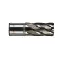 TRÉPAN HSS POUR PERCEUSE À EMBASE MAGNÉTIQUE 20X30MM (X1) TRÉPAN HSS POUR PERCEUSE À EMBASE MAGNÉTIQUE 20X30MM (X1)
