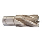 TRÉPAN HSS POUR PERCEUSE À EMBASE MAGNÉTIQUE 23X30MM (X1) TRÉPAN HSS POUR PERCEUSE À EMBASE MAGNÉTIQUE 23X30MM (X1)