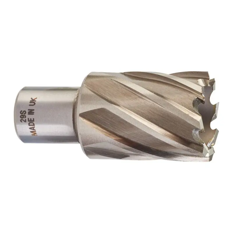 TRÉPAN HSS POUR PERCEUSE À EMBASE MAGNÉTIQUE 29X30MM (X1) TRÉPAN HSS POUR PERCEUSE À EMBASE MAGNÉTIQUE 29X30MM (X1)