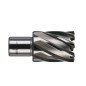 TRÉPAN HSS POUR PERCEUSE À EMBASE MAGNÉTIQUE 30X30MM (X1) TRÉPAN HSS POUR PERCEUSE À EMBASE MAGNÉTIQUE 30X30MM (X1)
