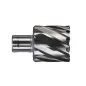 TRÉPAN HSS POUR PERCEUSE À EMBASE MAGNÉTIQUE 40X30MM (X1) TRÉPAN HSS POUR PERCEUSE À EMBASE MAGNÉTIQUE 40X30MM (X1)