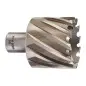 TRÉPAN HSS POUR PERCEUSE À EMBASE MAGNÉTIQUE 46X30MM (X1) TRÉPAN HSS POUR PERCEUSE À EMBASE MAGNÉTIQUE 46X30MM (X1)