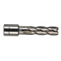 TRÉPAN HSS POUR PERCEUSE À EMBASE MAGNÉTIQUE 14X50MM (X1) TRÉPAN HSS POUR PERCEUSE À EMBASE MAGNÉTIQUE 14X50MM (X1)