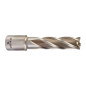 TRÉPAN HSS POUR PERCEUSE À EMBASE MAGNÉTIQUE 15X50MM (X1) TRÉPAN HSS POUR PERCEUSE À EMBASE MAGNÉTIQUE 15X50MM (X1)