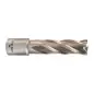 TRÉPAN HSS POUR PERCEUSE À EMBASE MAGNÉTIQUE 16X50MM (X1) TRÉPAN HSS POUR PERCEUSE À EMBASE MAGNÉTIQUE 16X50MM (X1)