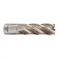 TRÉPAN HSS POUR PERCEUSE À EMBASE MAGNÉTIQUE 19X50MM (X1) TRÉPAN HSS POUR PERCEUSE À EMBASE MAGNÉTIQUE 19X50MM (X1)
