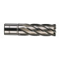 TRÉPAN HSS POUR PERCEUSE À EMBASE MAGNÉTIQUE 20X50MM (X1) TRÉPAN HSS POUR PERCEUSE À EMBASE MAGNÉTIQUE 20X50MM (X1)