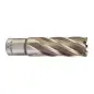 TRÉPAN HSS POUR PERCEUSE À EMBASE MAGNÉTIQUE 21X50MM (X1) TRÉPAN HSS POUR PERCEUSE À EMBASE MAGNÉTIQUE 21X50MM (X1)