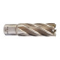 TRÉPAN HSS POUR PERCEUSE À EMBASE MAGNÉTIQUE 22X50MM (X1) TRÉPAN HSS POUR PERCEUSE À EMBASE MAGNÉTIQUE 22X50MM (X1)